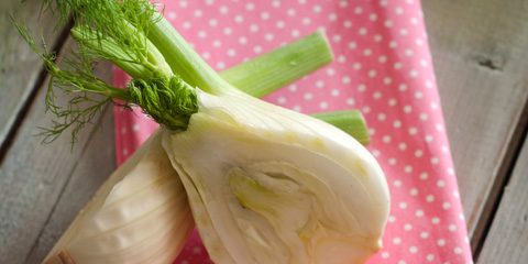 Safran Fenchel